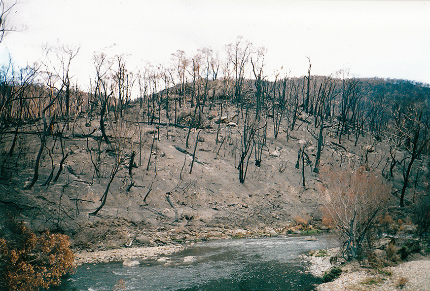 Climate change is wreaking devastation across our planet